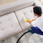 Quand planter des oignons : guide pratique pour réussir votre récolte