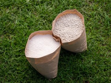 Précautions essentielles pour une utilisation sûre de la terre de diatomée