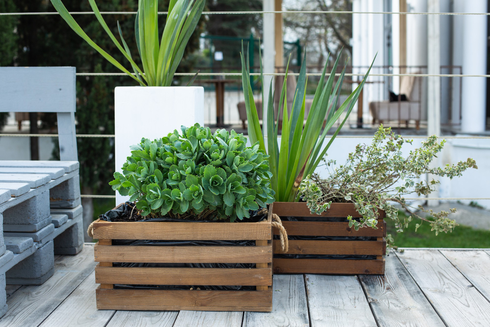 Architecte jardinier paysagiste 