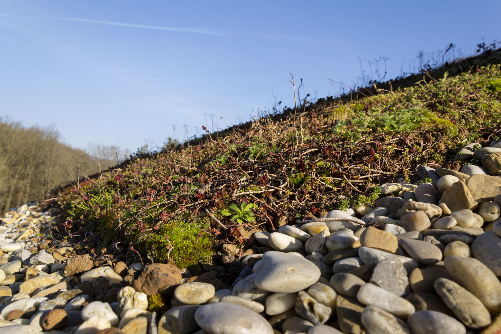 Stabiliser un talus