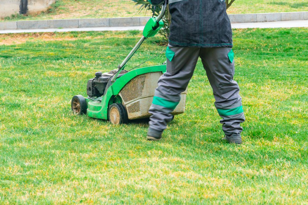  astuces essentielles pour préparer son jardin pour l'hiver 