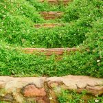 Préparer son jardin pour l&rsquo;hiver : conseils pratiques et astuces essentielles