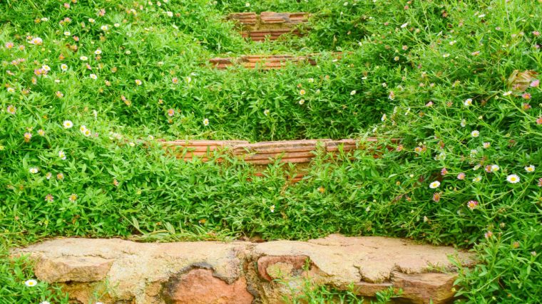 astuces et techniques à découvrir pour Stabiliser un talus