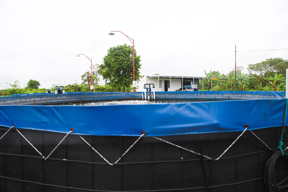 astuces pour aménager une piscine hors sol ronde