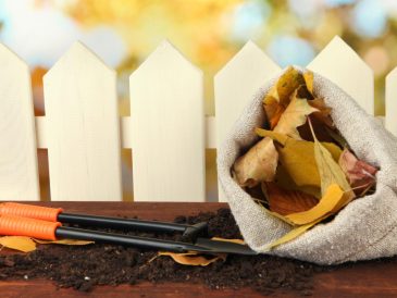 conseils pratiques et astuces essentielles pour préparer son jardin pour l'hiver