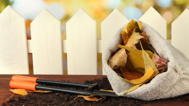 conseils pratiques et astuces essentielles pour préparer son jardin pour l'hiver