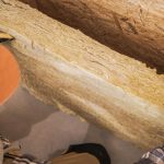 Stabiliser un talus : astuces et techniques à découvrir