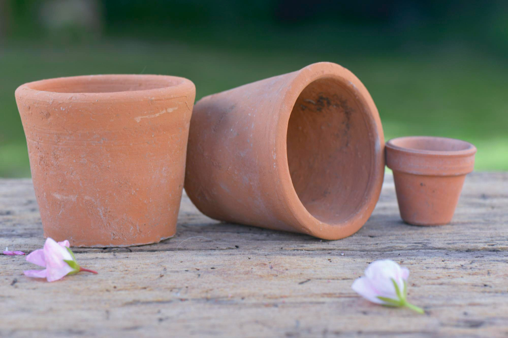 le Pot extérieur en terre cuite