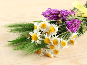 choisir les meilleures variétés des Fleurs odorantes pour bouquet