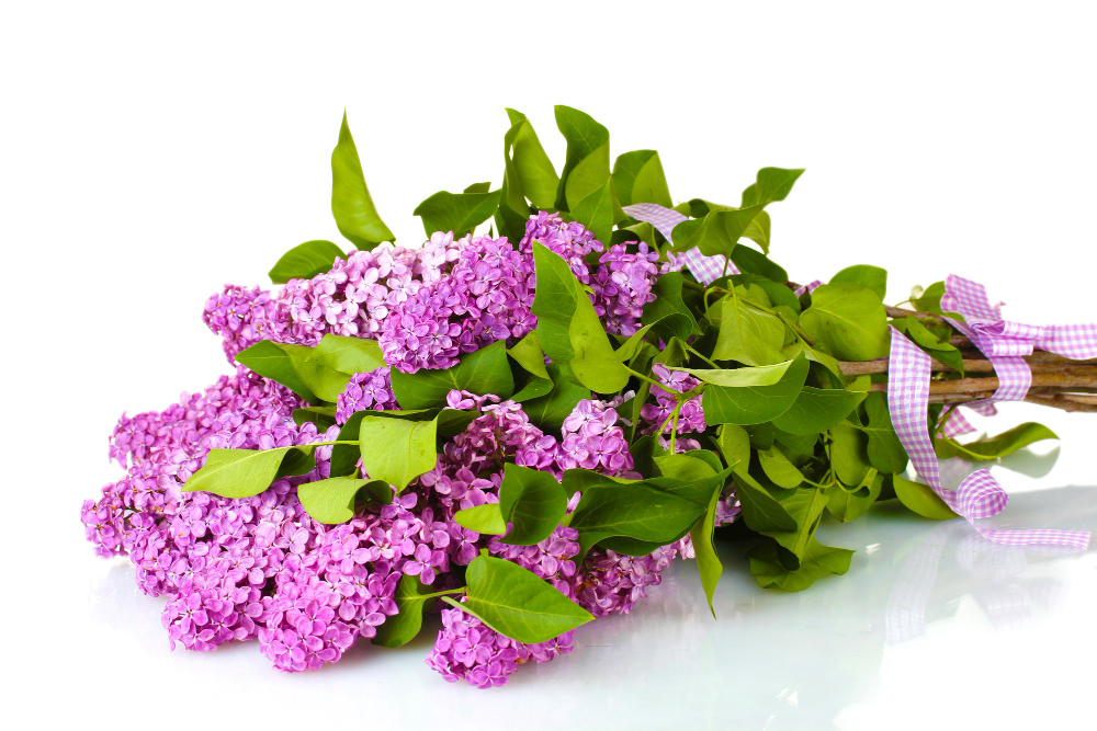  les meilleures variétés des Fleurs odorantes pour bouquet 