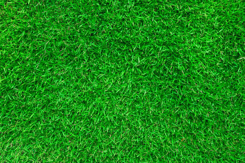 épaisseur d'un gazon synthétique durable et naturel