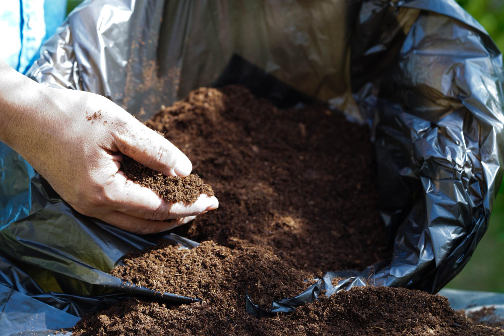 le terreau à choisir pour un potager réussi