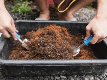 terreau à choisir pour un potager réussi