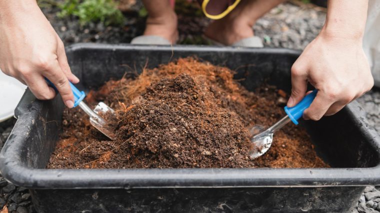 terreau à choisir pour un potager réussi