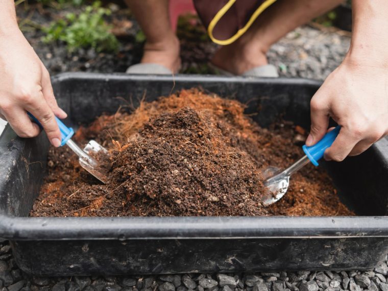 terreau à choisir pour un potager réussi
