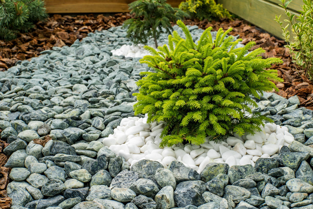 un parterre avec cailloux sans entretien pour un jardin moderne